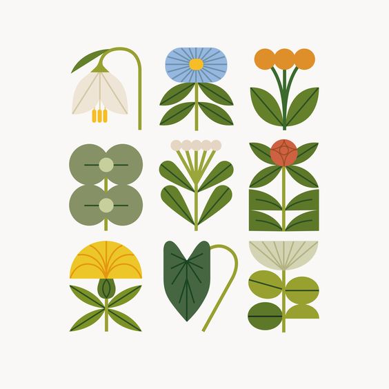 Illustration by Sarah&nbsp;Abbott