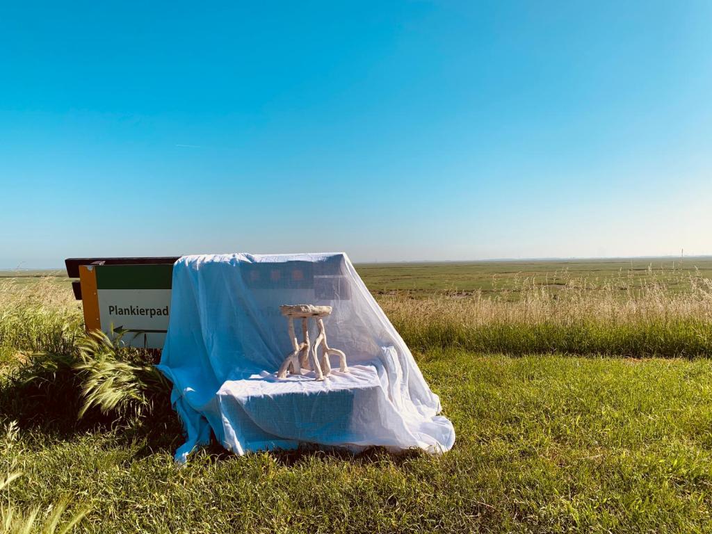 Opzouten: Salinisation Shifted