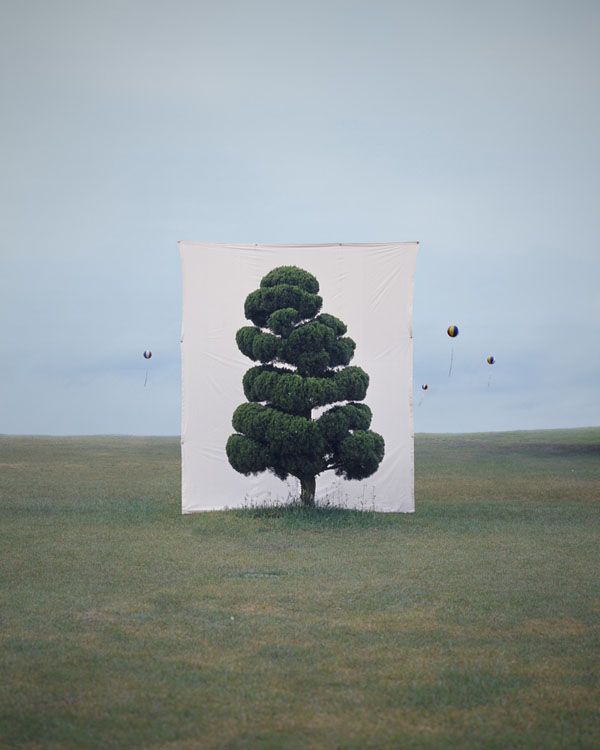 Tree Portraits by Myoung Ho&nbsp;Lee