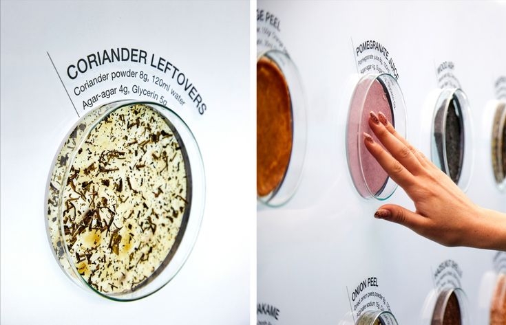 Longevity Lab – Miele Experience&nbsp;Center