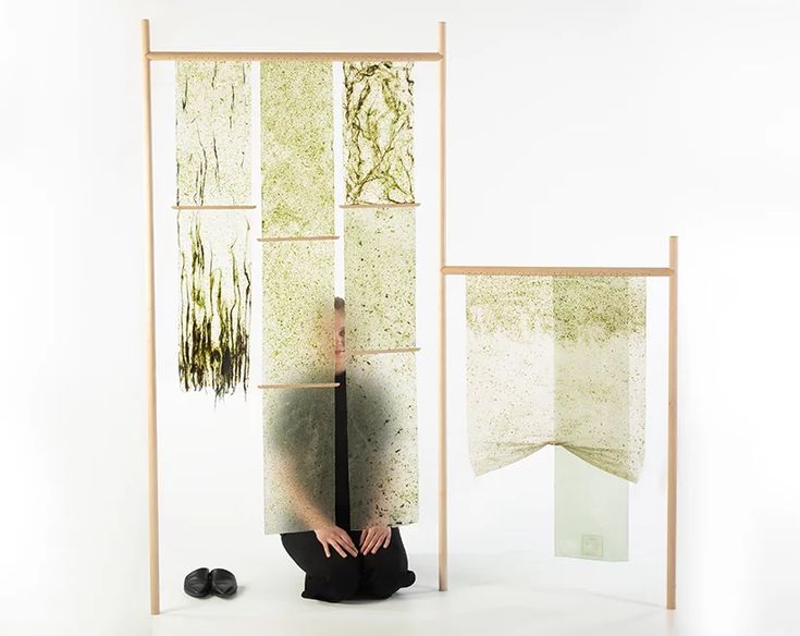 SEAmpathy by Daniel&nbsp;Elkayam