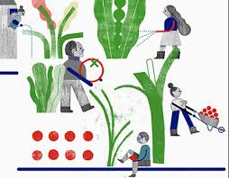 Urban Garden by Ana&nbsp;Bustelo