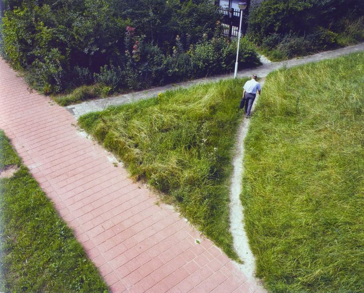 Desire Paths / Olifantenpaadjes