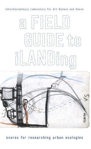a field guide to iLanding by&nbsp;iLand