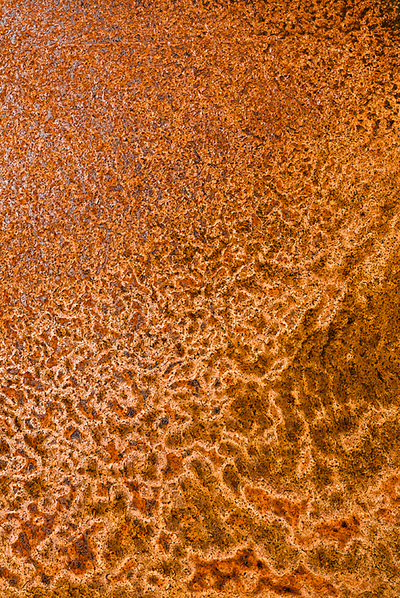 Paused by Christine&nbsp;Atkins