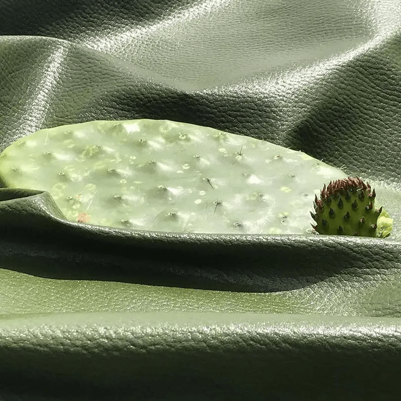 Cactus leather by Adrián López Velarde and Marte&nbsp;Cázarez